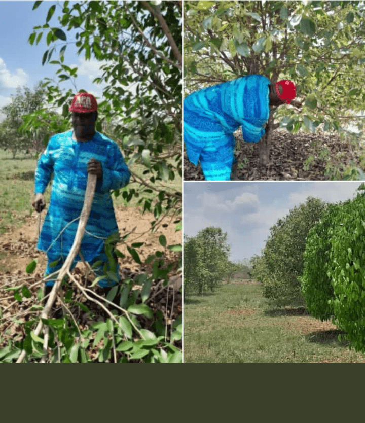 Screenshot 20230313 193407