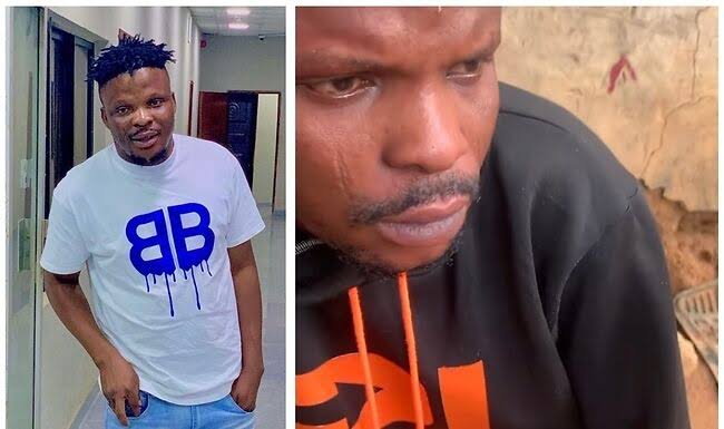 images 2023 03 31T232427.081