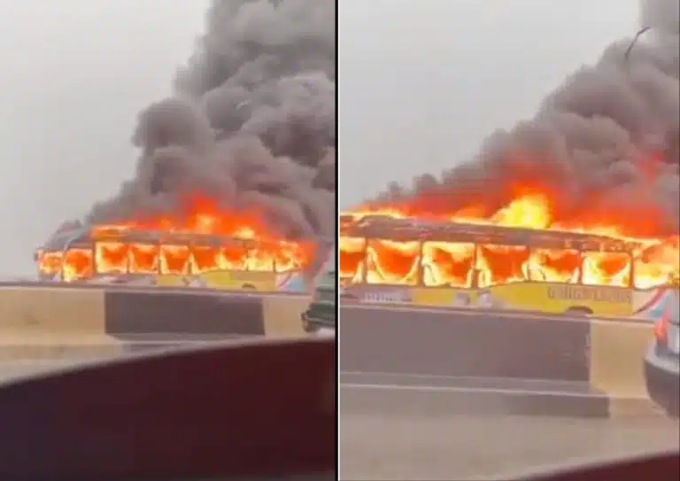 Collage Maker 19 Apr 2023 02 24 PM 7510 768x543.jpg