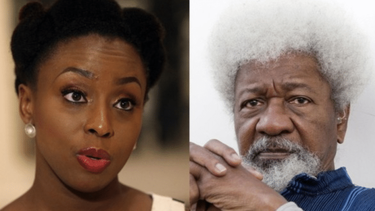 Wole Soyinka and Chimamanda Adichie 768x432 1