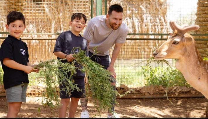 Screenshot 20230503 140240