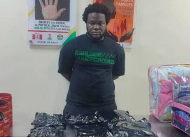 Drug dealer arrested by NDLEA