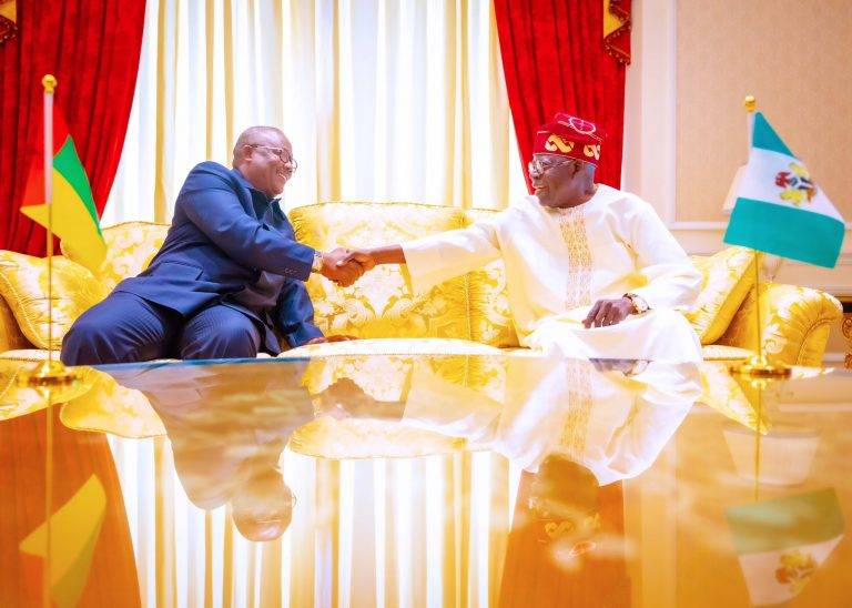 President Tinubu meets President Umaro Sissoco Embalo President of Guinea Bissau 768x548