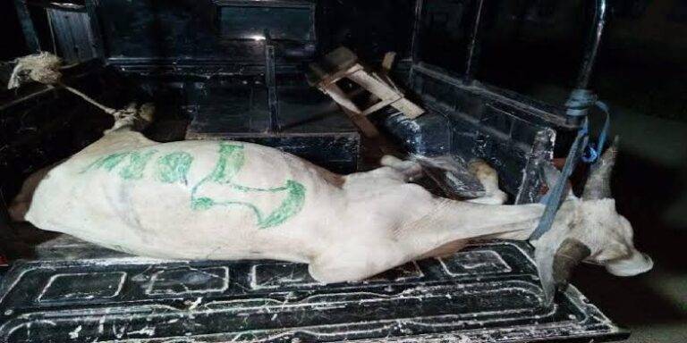 images 2023 07 09T123756.711