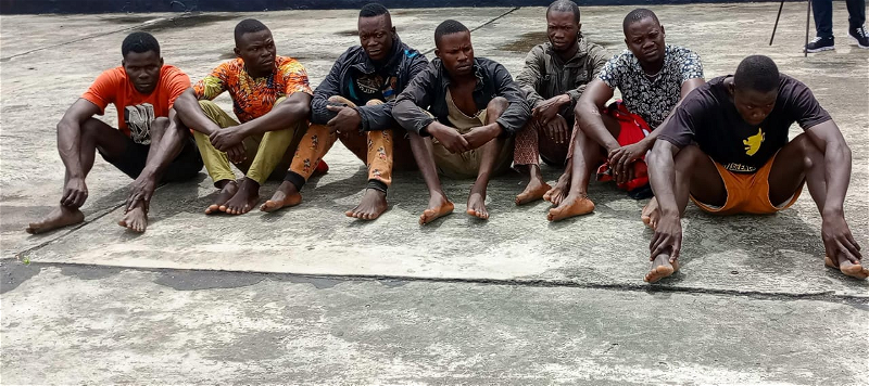 A4896CC6 373C 44B3 9E8A 244773834A8D