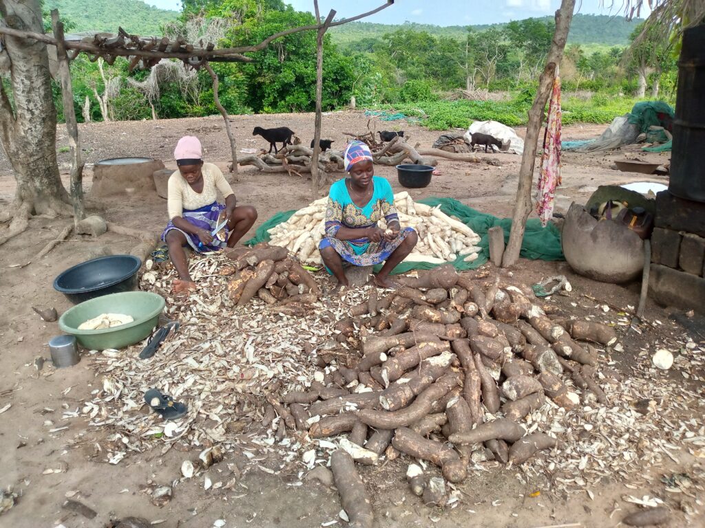Two women peeling cassava at Daadi 