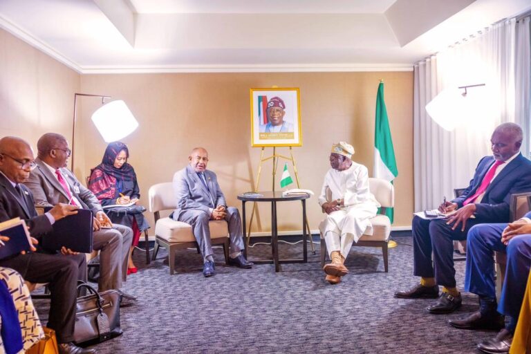 Tinubu with AU leaders