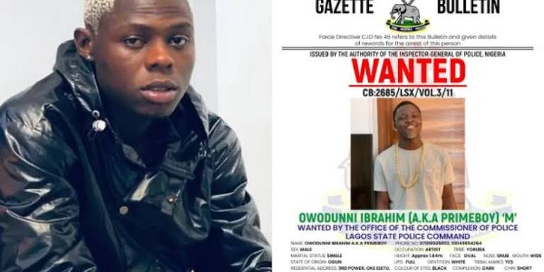 6477A509 5C1B 4626 A807 15E075948E93