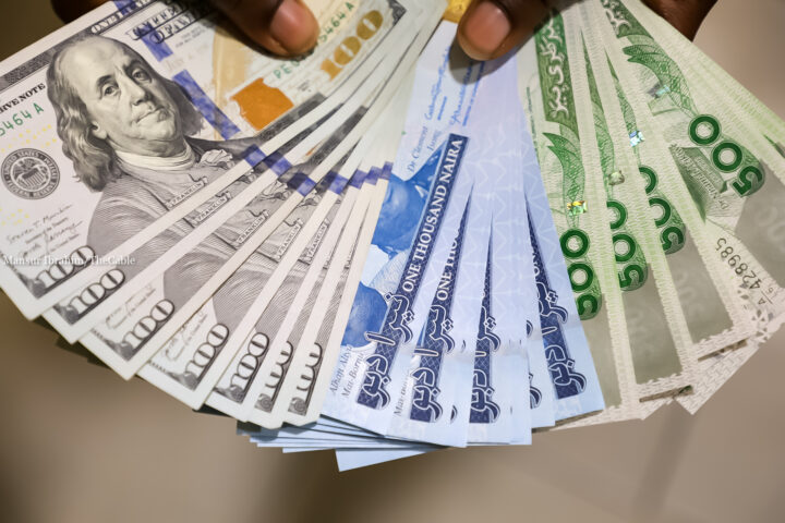 Dollars and Naira TheCable3 1 e1687252801461