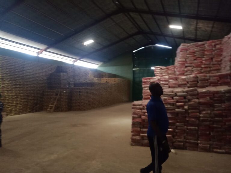 Kano seal warehouse for hoarding grains noodles 2