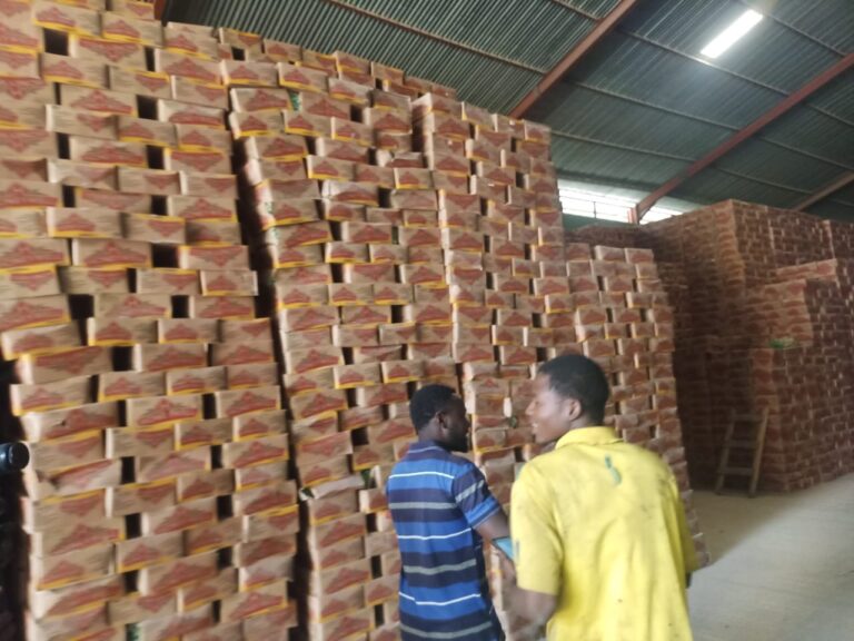 Kano seal warehouse for hoarding grains noodles 3