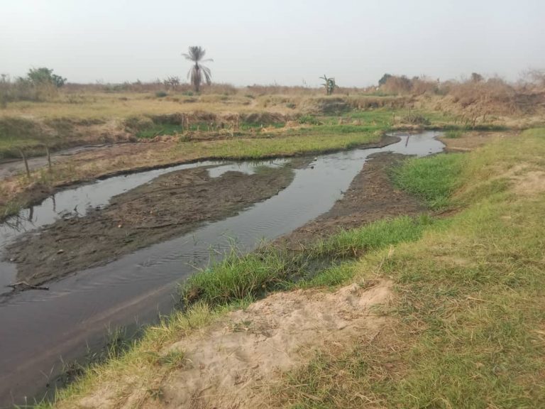 IMG 20240316 WA0024(1)