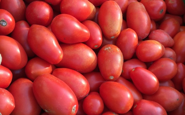 Tomatoes (1)