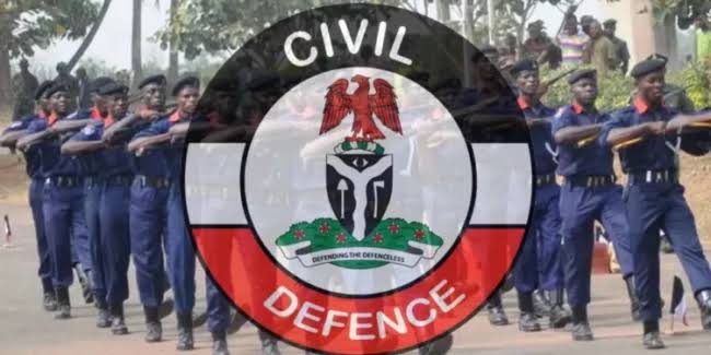 We recorded 76 cases of domestic violence, 11 rape cases in Kwara: NSCDC