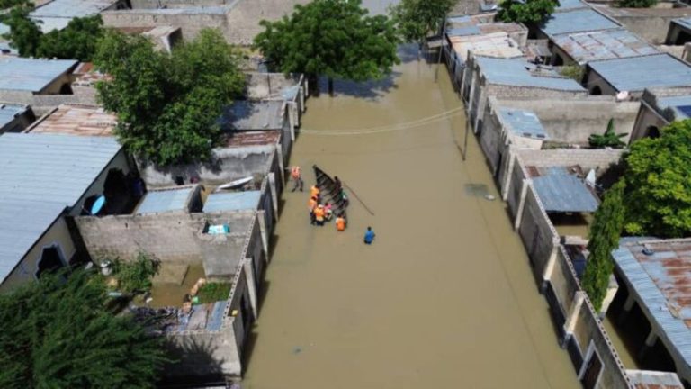 UN announces $6m to support Borno flood victims