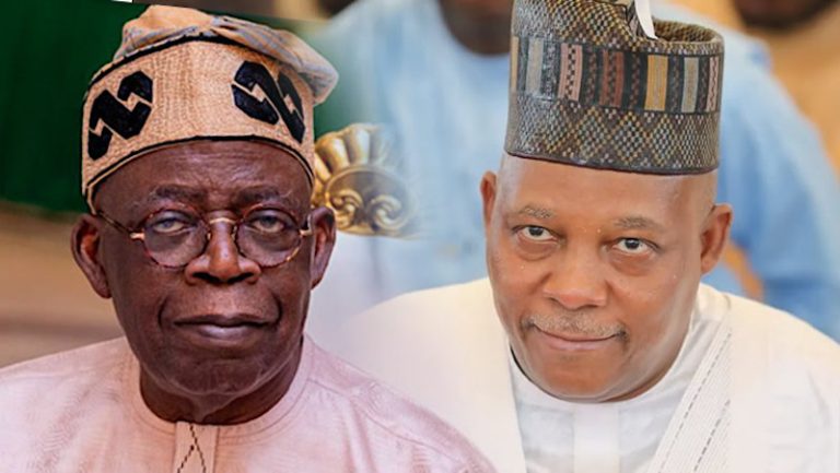 Tinubu, Shettima absence won’t affect governance, says presidency