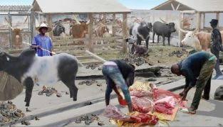 Kwara govt seizes unhealthy cow meat, urges butchers to ensure safety