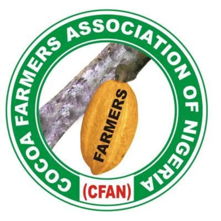 Cocoa Farmers Association seeks Tinubu’s intervention over poor funding