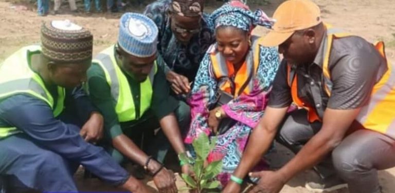 Climate change:  Kwara kicks off 1,600 tree planting campaigns across 16 LGAs