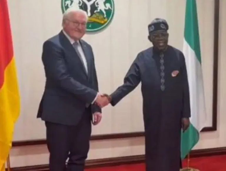 Tinubu hosts German President Steinmeier at Presidential Villa