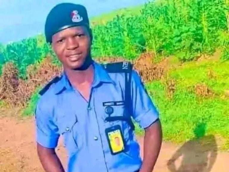 Nasarawa: Police constable kills self while on duty