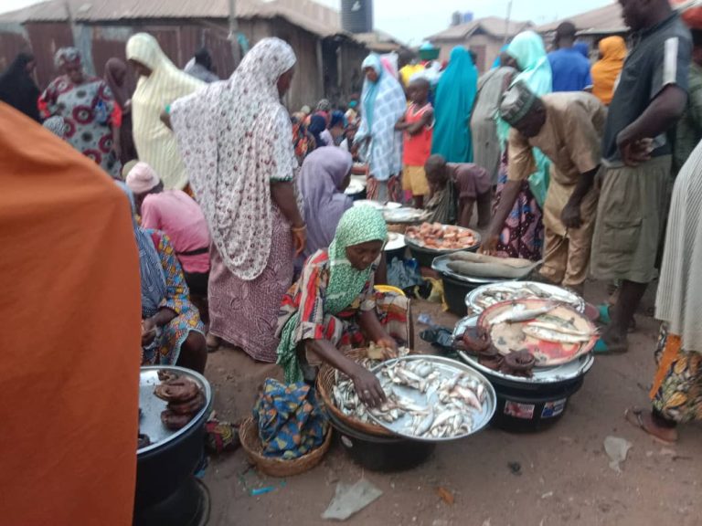 INVESTIGATION | In Kwara communities, lack of fish storage facilities increases post-harvest losses