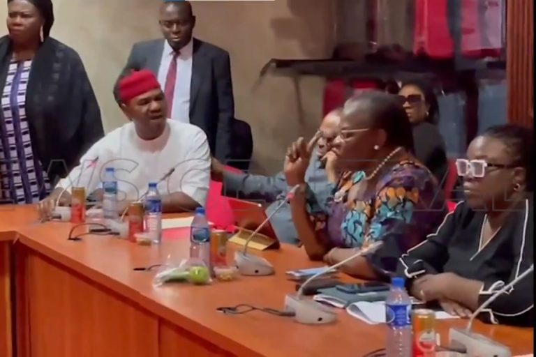 ‘Hooligan!’ ‘Fool!’ – Ezekwesili, senator in heated clash over Natasha’s harassment petition