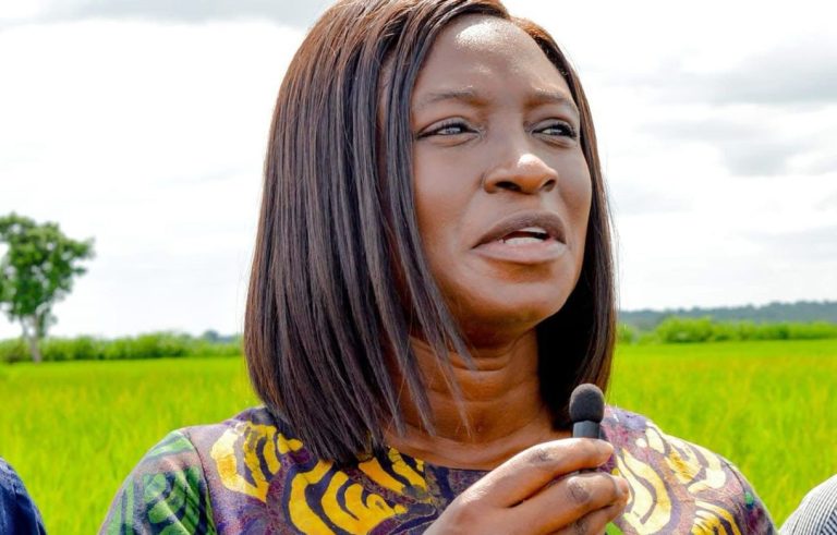 Kwara launches Anthrax vaccination campaign for livestock protection