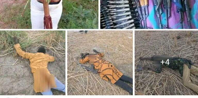 Fact-Check: Viral photos of dead bandits are from Borno, not Kwara
