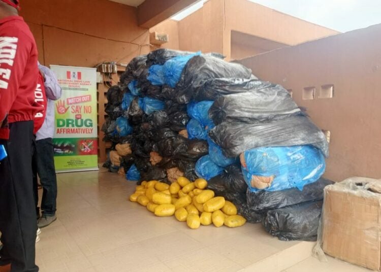 Four arrested as NDLEA seizes 2.318 tons of cannabis worth billions of naira in Kwara