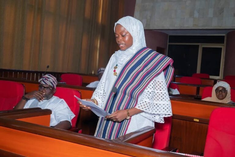 Rukayat Shittu pushes electricity reform, invites citizens to public hearing