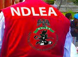 Calabar: Newly posted NDLEA commander found dead in hotel room