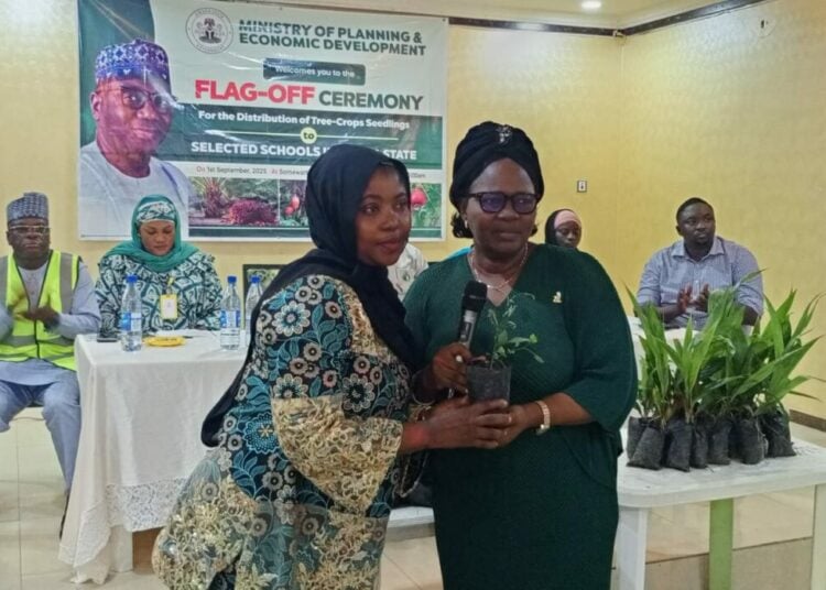 255 schools benefit from 14,180 economic tree seedling initiative in Kwara