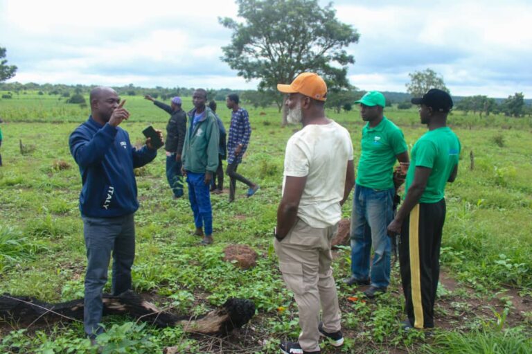 10,000 hectares set for recovery as Kwara Agro-Climatic project tackles land degradation