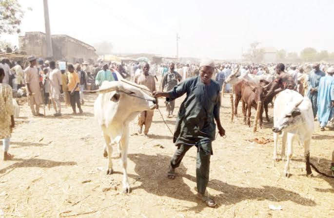 Council chairmen shut markets across Kwara South indefinitely as insecurity worsens