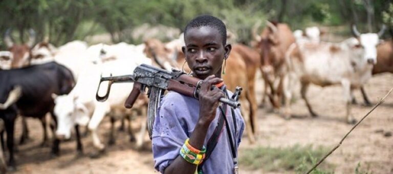 Insecurity: Hausa-Fulani leaders in Kwara deny knowledge of plan to arm Bororo against bandits