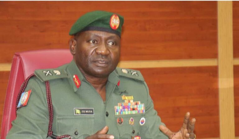 Senate confirms ex-CDS Musa as Defence Minister after thorough screening