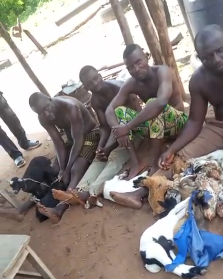 Nine kidnap victims regain freedom after ransom payment in Kwara
