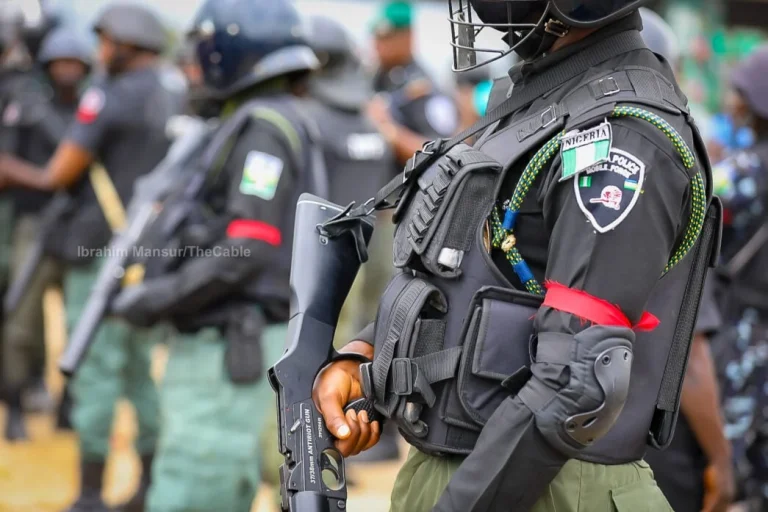Osun poll: 295 suspects arrested – Police