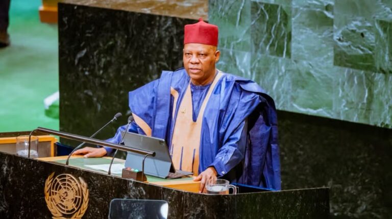 Shettima warns against propaganda shielding aggressors from justice